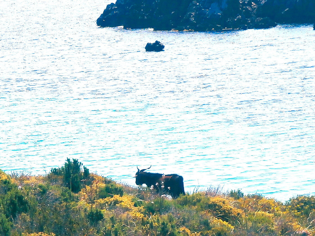 cala Pudent-Son Parc必去景点
