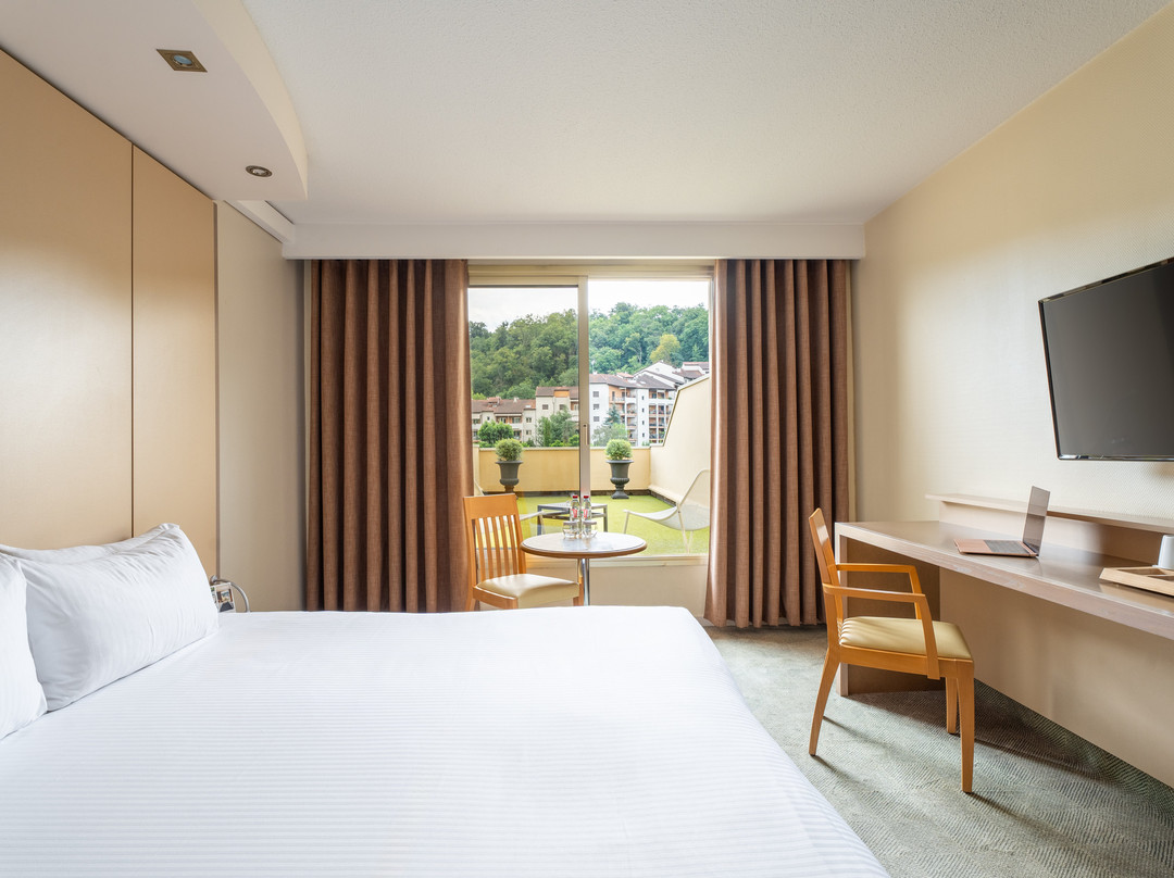 里昂大都会酒店主图