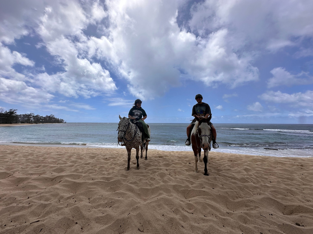 Hawaii Polo Club景点图片