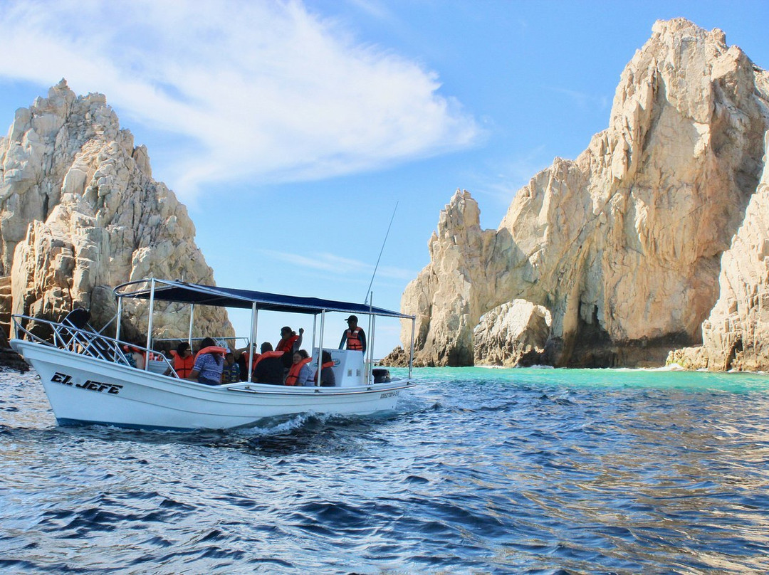 Cabo Ocean Tours-卡波圣卢卡斯必去景点