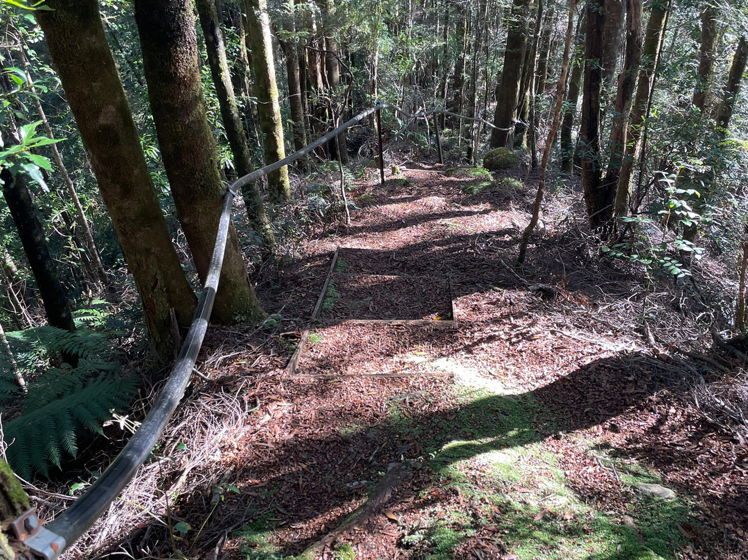 The Confluence-皇后镇必去景点