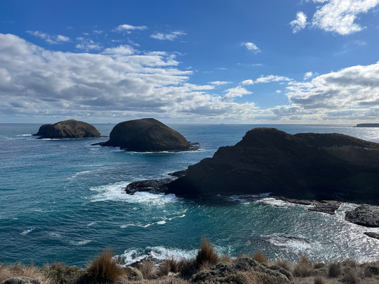 Woolnorth Tours-Woolnorth必去景点