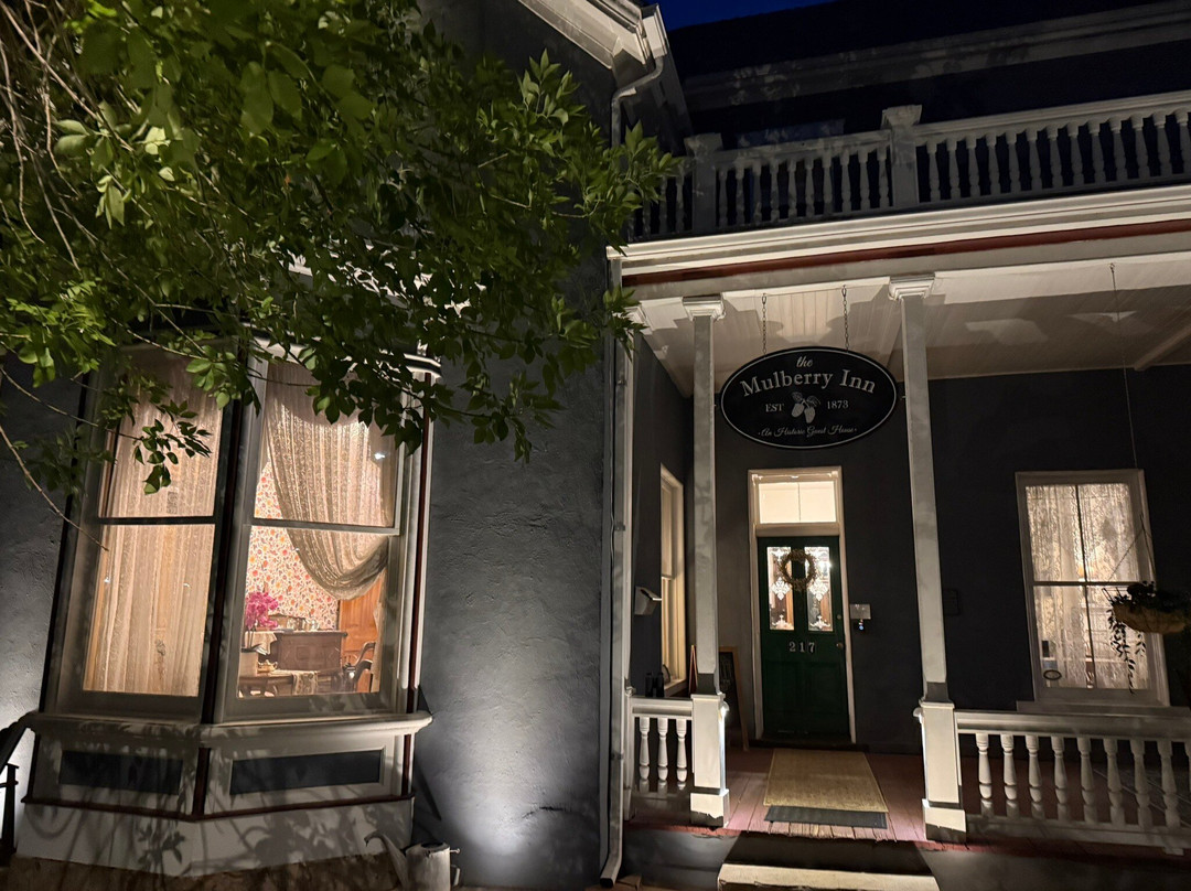 The Mulberry Inn主图