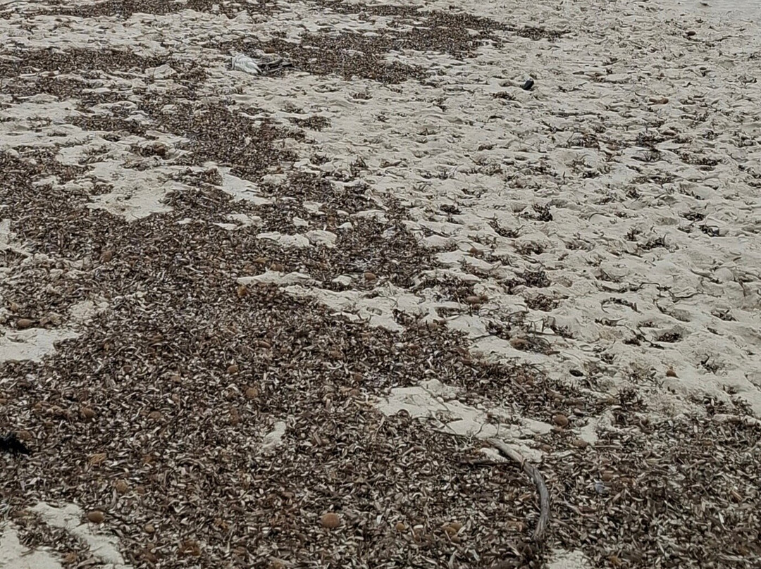 Port El Kantaoui Beach