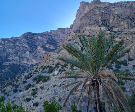 Happy Travels Oman-马斯喀特必去景点