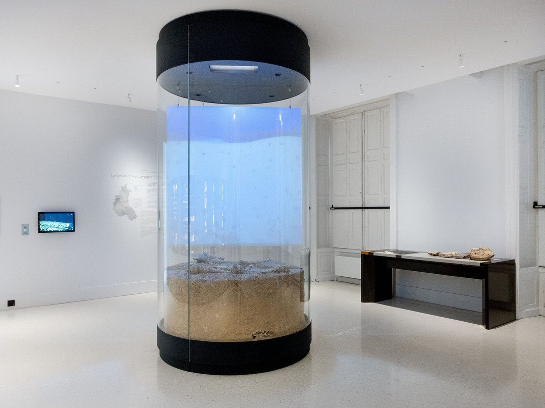 Musée du vin de Champagne et d'Archéologie régionale-埃佩尔内必去景点
