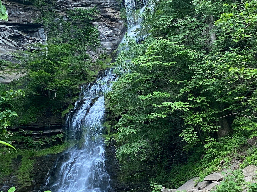 Cathedral Falls-Gauley Bridge必去景点