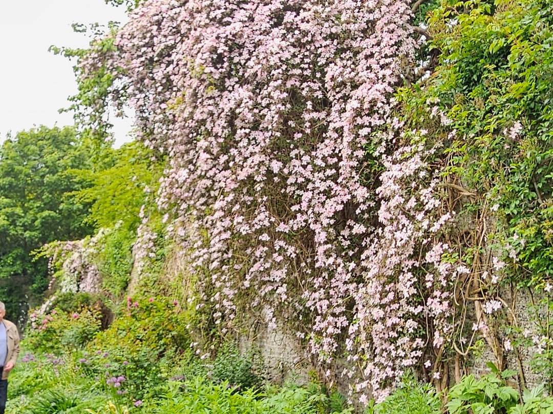 Wemyss Castle Gardens-West Wemyss必去景点