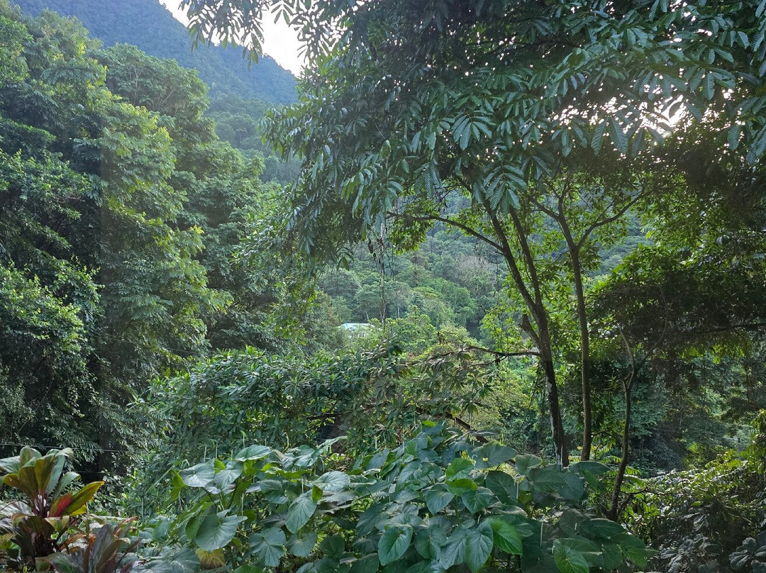 Uvita Information Center景点图片