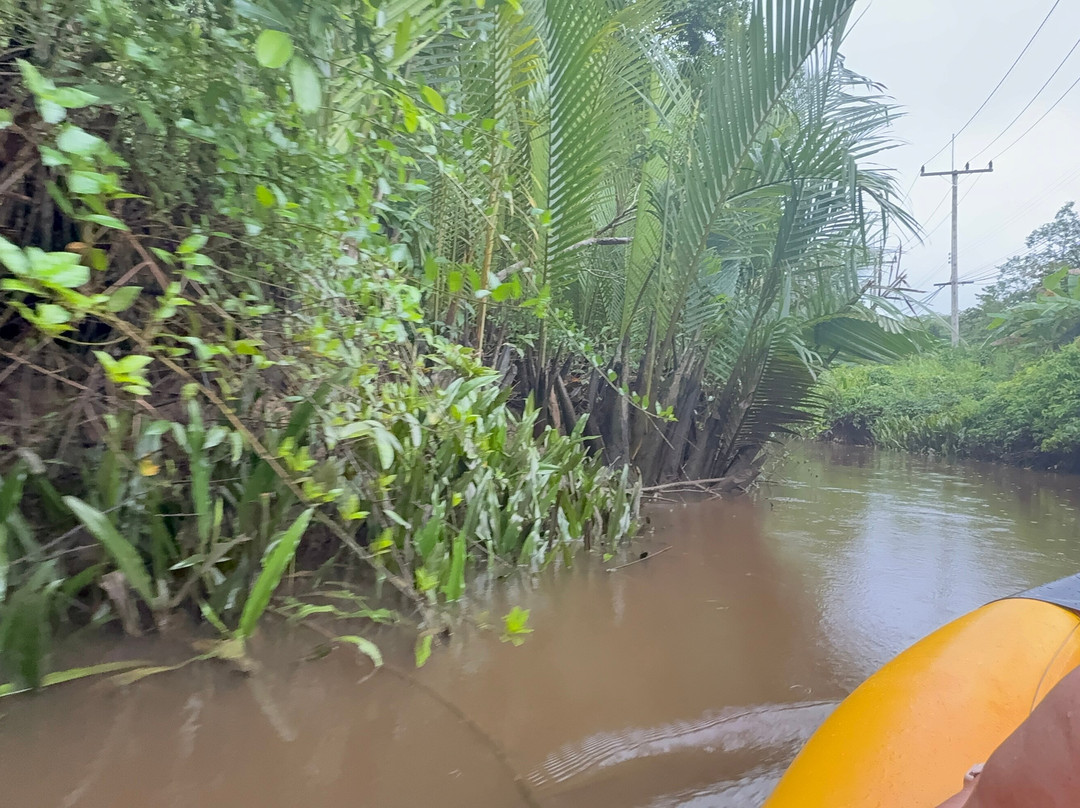 The Little Amazon景点图片