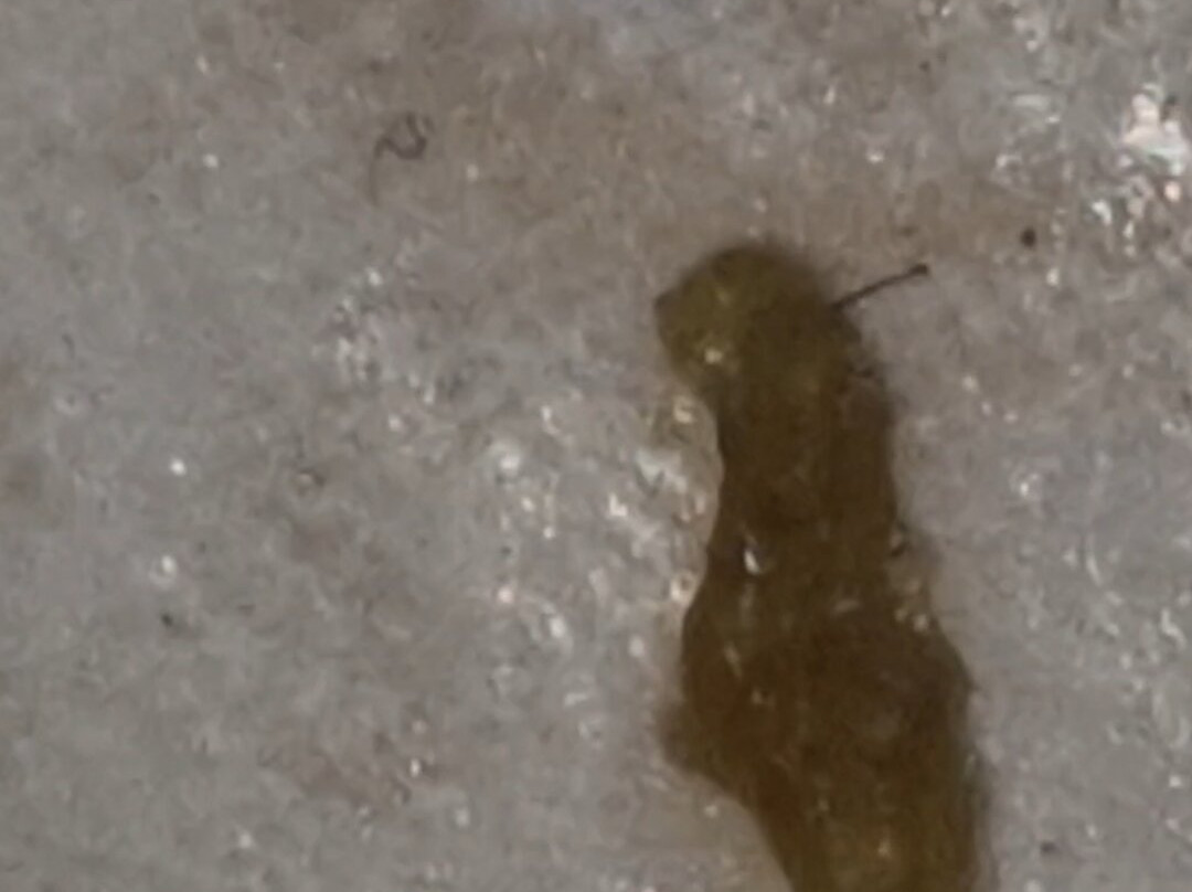 伊潘内玛海滩酒店主图