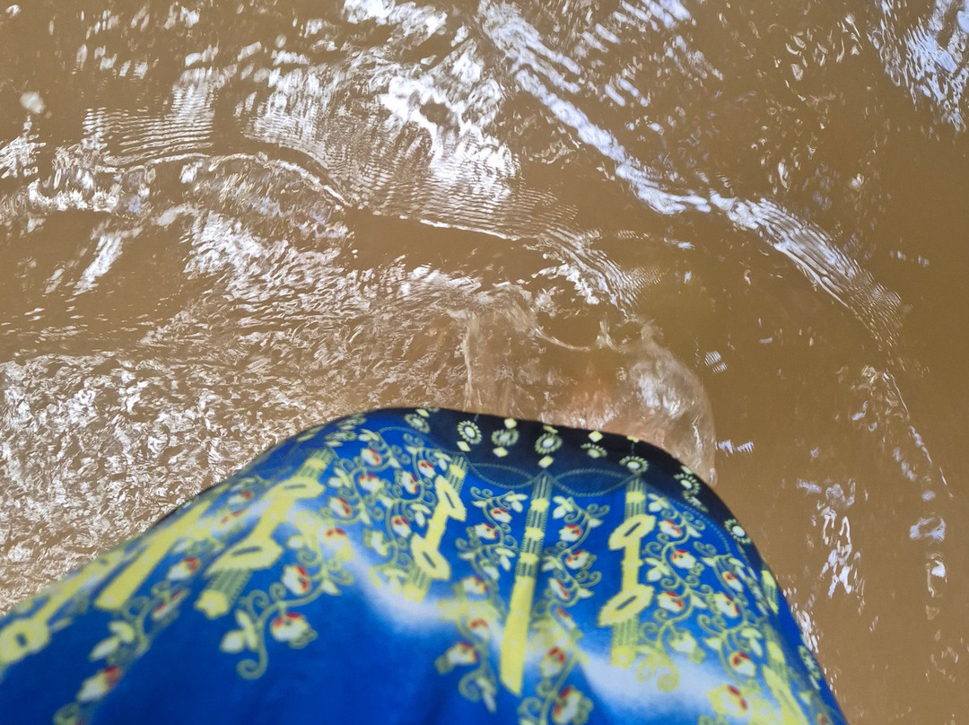 Biausevu Waterfall景点图片