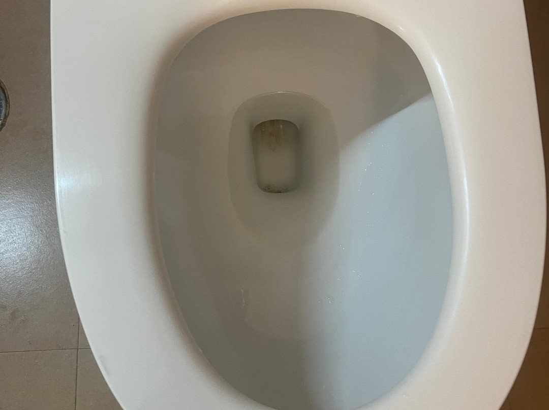 Clarks Exotica Resort主图