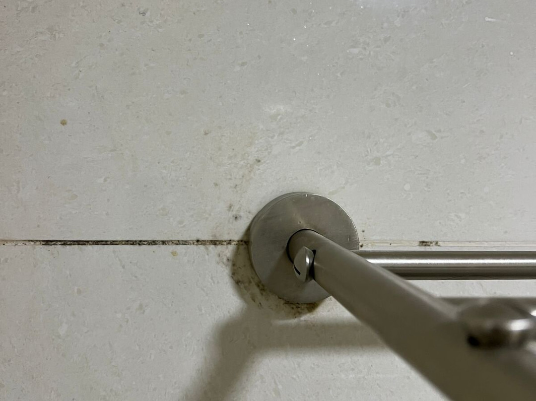 Mision Monterrey Centro Historico主图