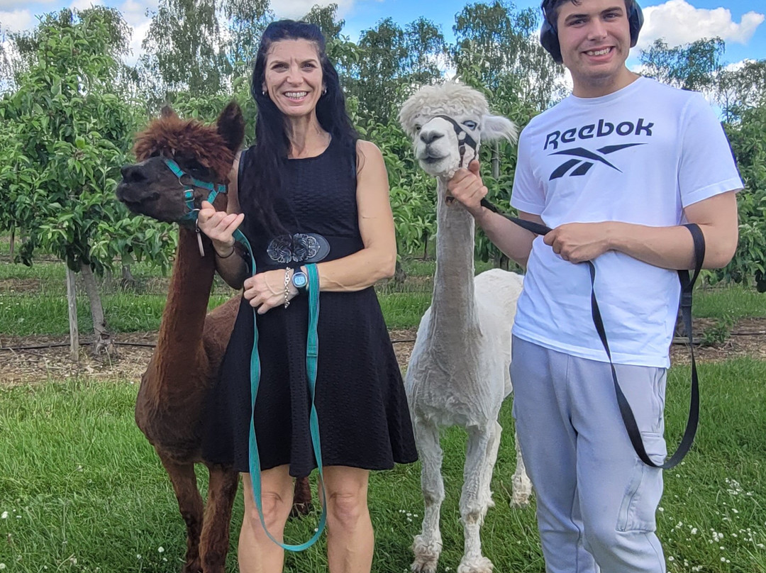 All Things Alpaca Ltd景点图片