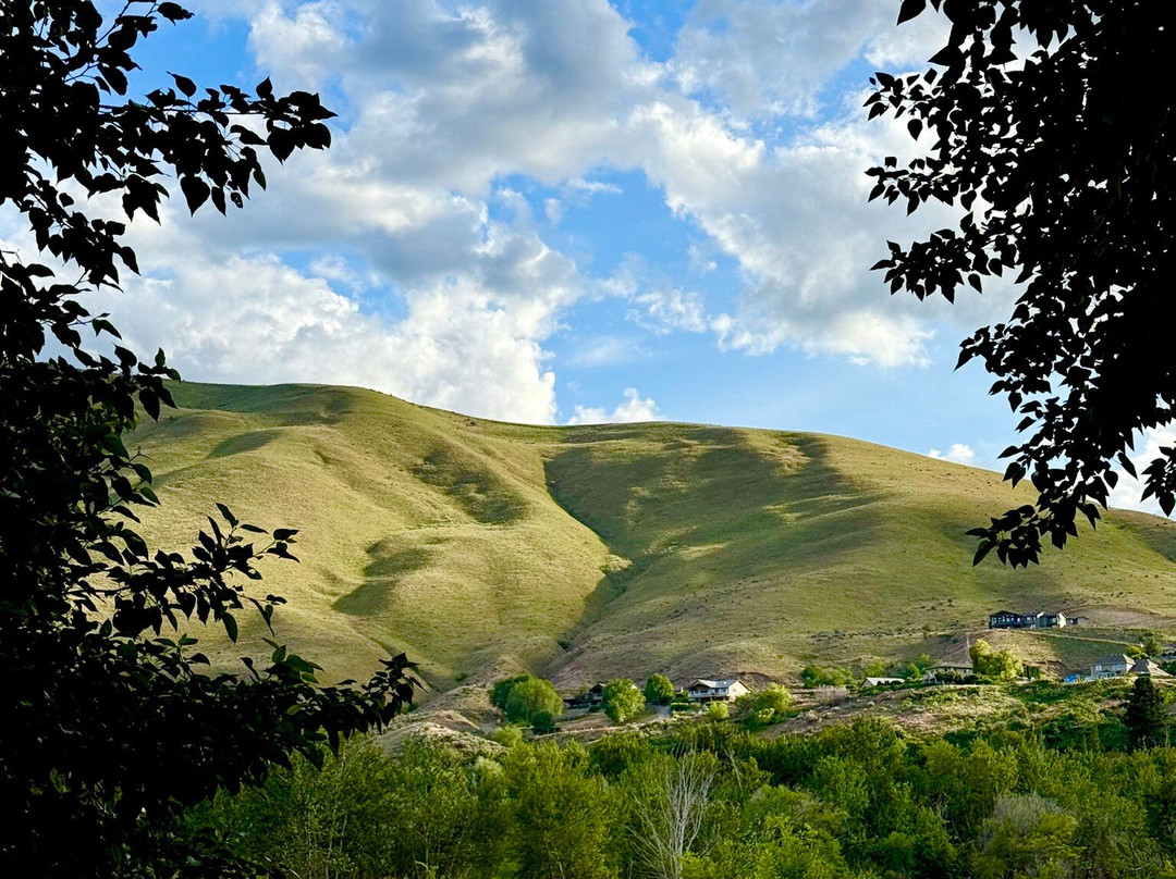 Warm Springs Inn & Winery主图