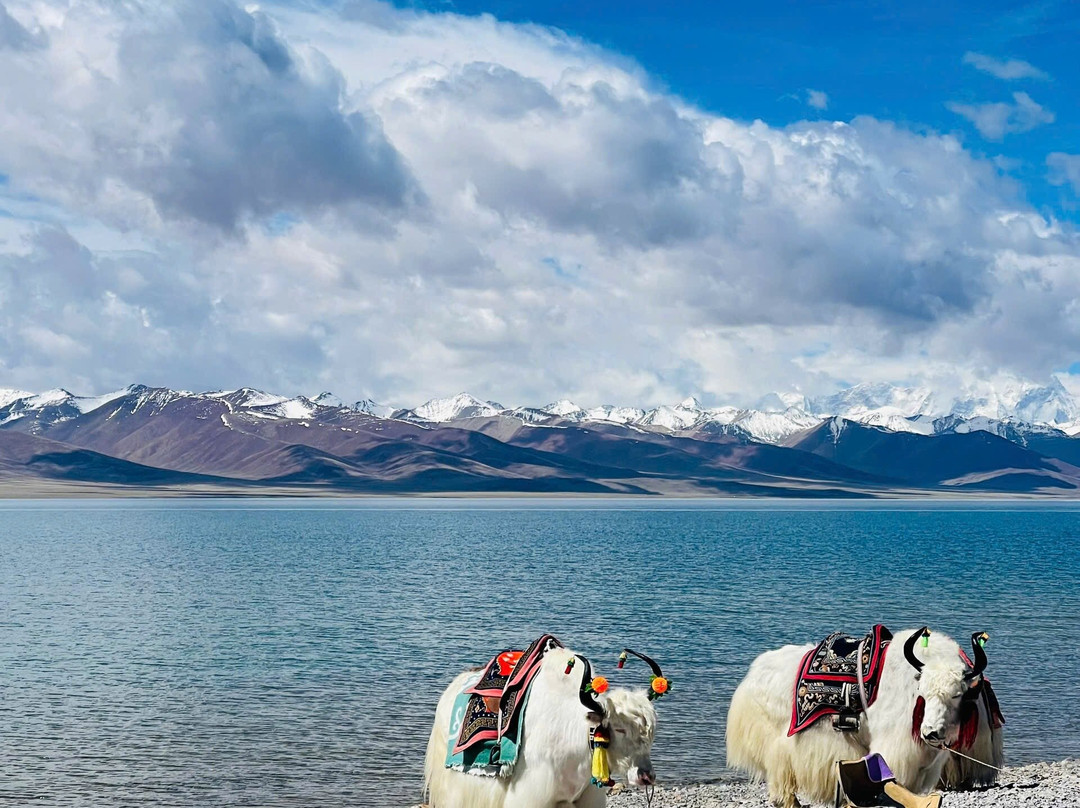 Tibet Ctrip Travel Service-TCTS-拉萨市必去景点