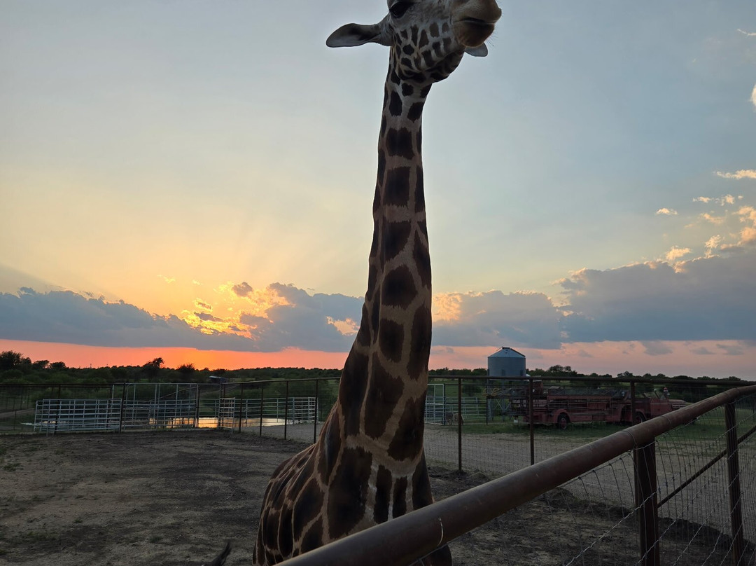 Blue Hills Ranch主图