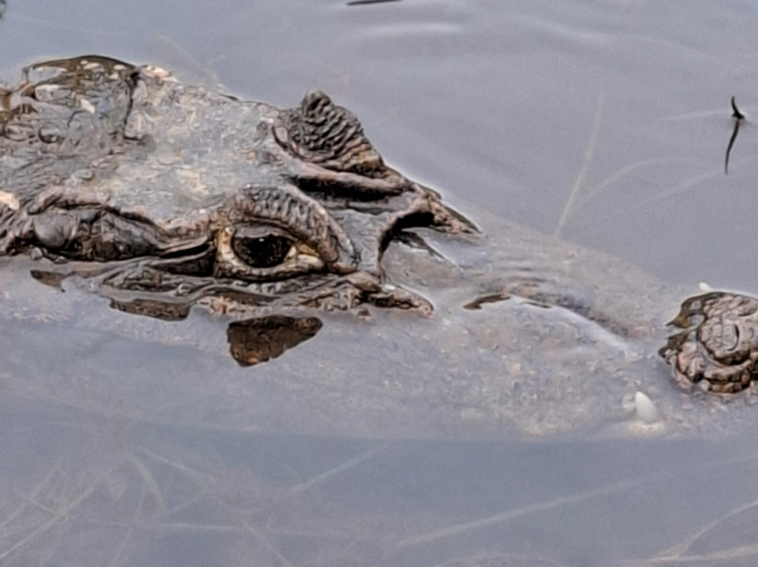 Hotel de Campo Cano Negro主图