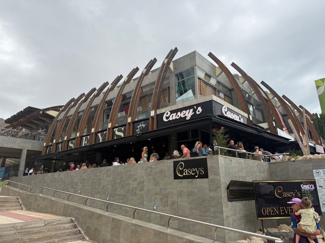 Casey's Cocktail Lounge-洛斯克里斯蒂亚诺斯必去景点