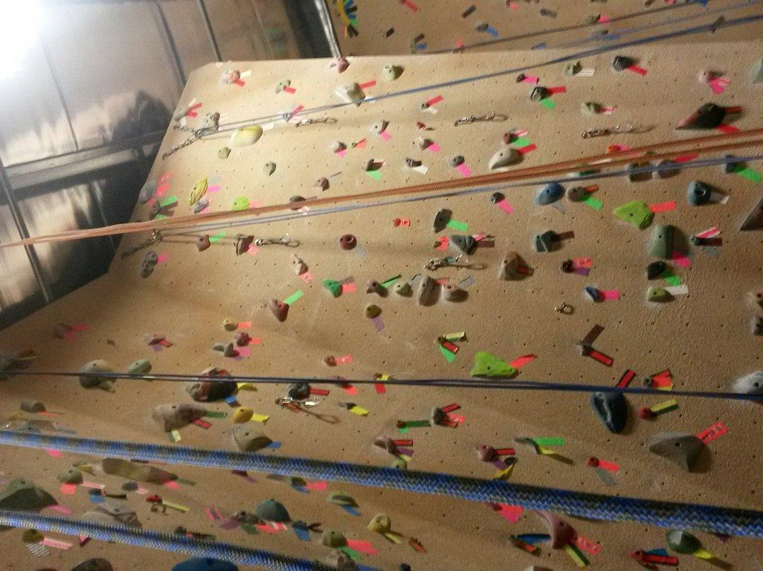 Dogtooth Climbing Gym-戈尔登必去景点