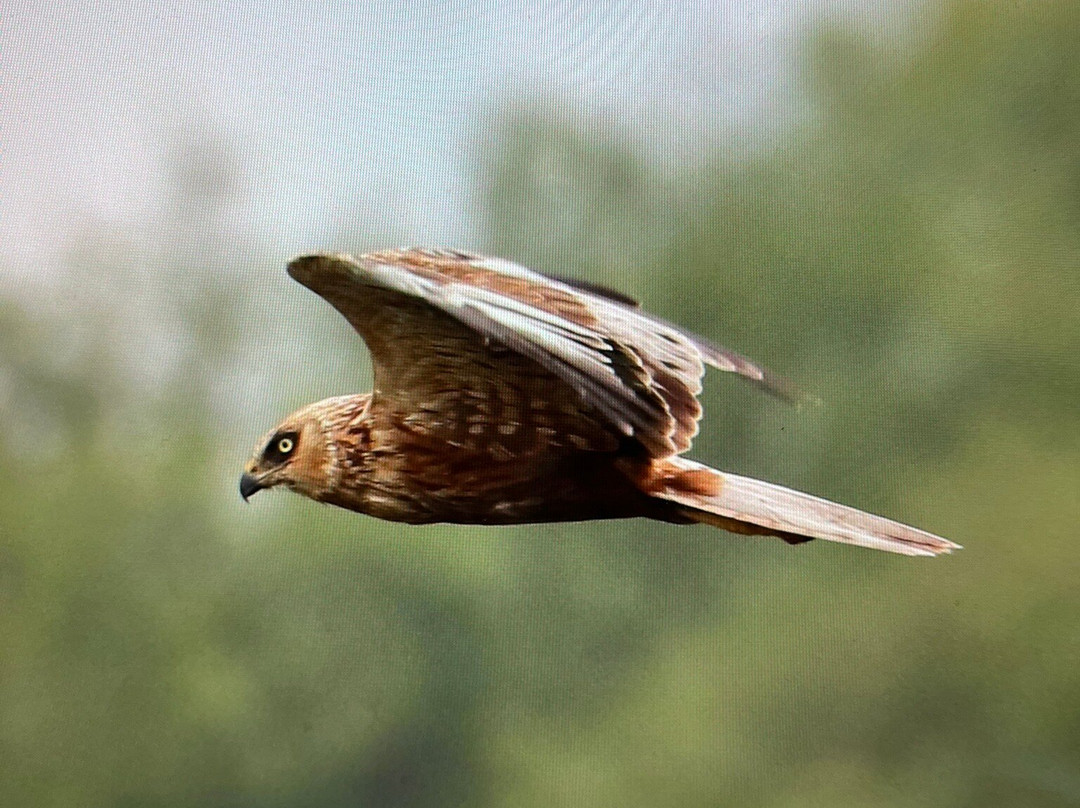 Exmoor Photography Course-迈恩黑德必去景点
