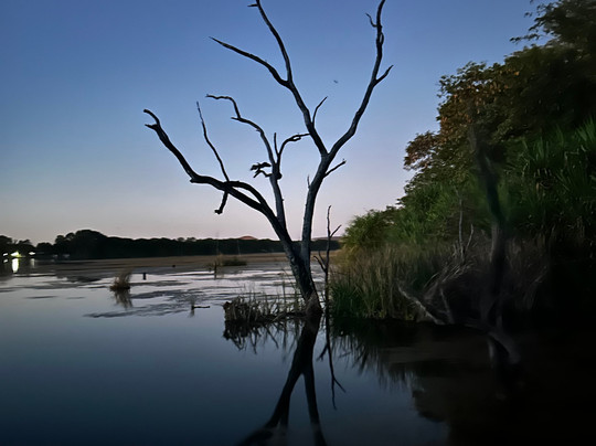 Kununurra Cruises-库努纳拉必去景点