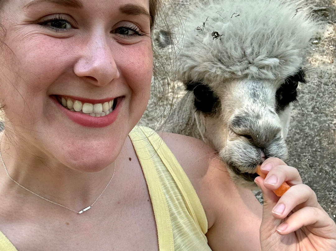 Jersey Shore Alpacas景点图片
