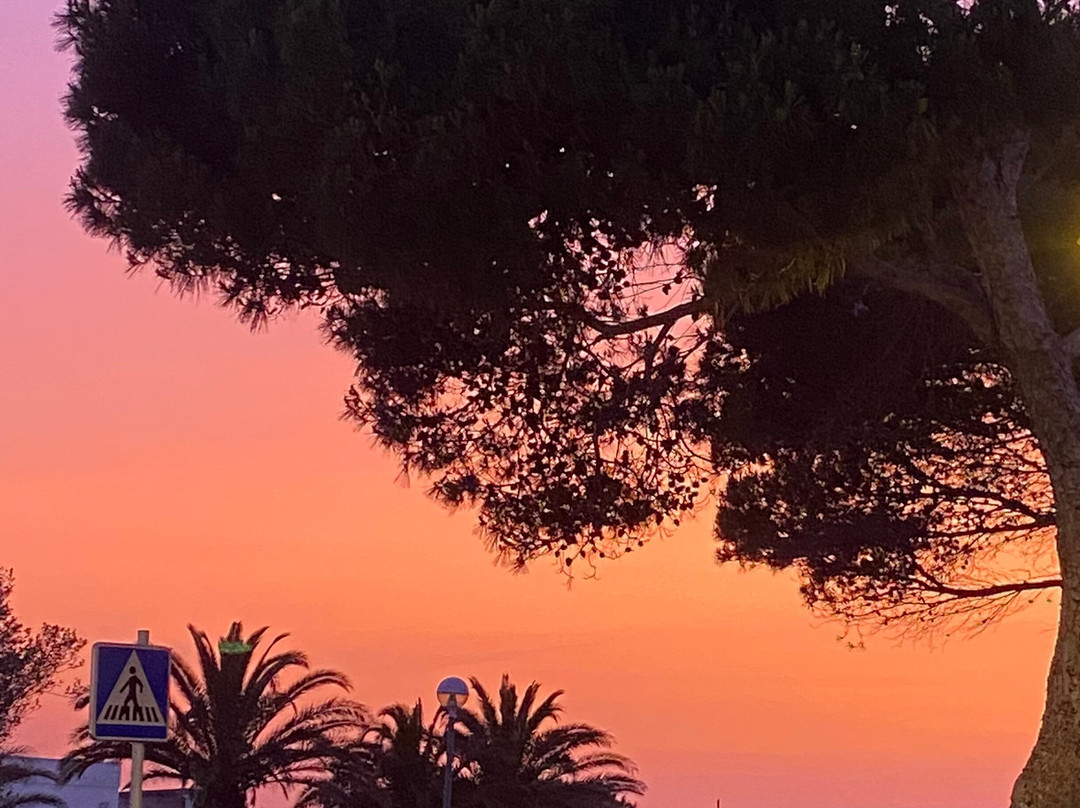 Cala en Forcat-Cala'n Forcat必去景点