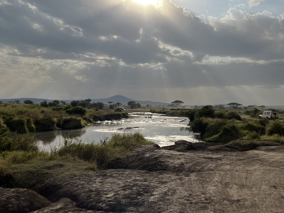 PROCEEDING ADVENTURES LIMITED-Marangu必去景点