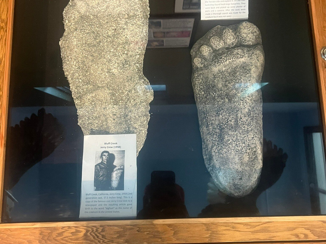 Harrison Visitor Information Centre & Sasquatch Museum-哈里逊温泉必去景点