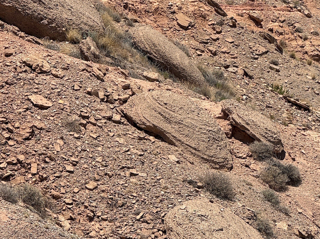 Sevilleta National Wildlife Refuge-La Joya必去景点