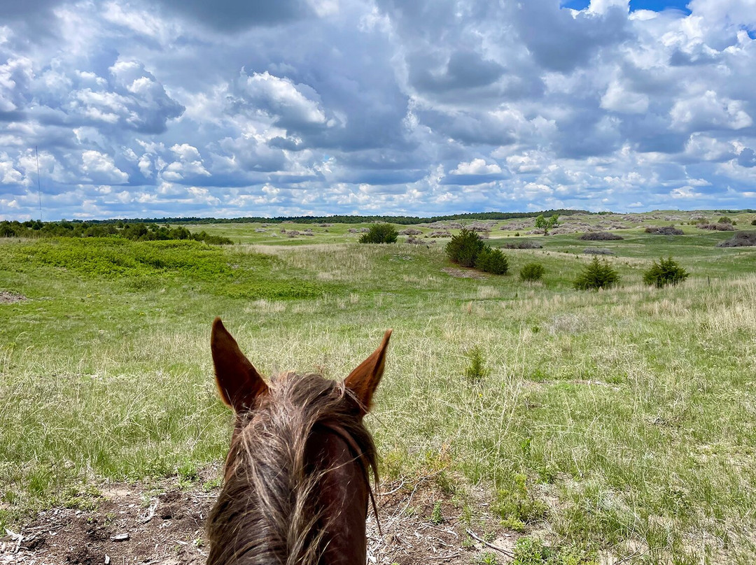 Rowse's 1+1 Ranch-Burwell必去景点