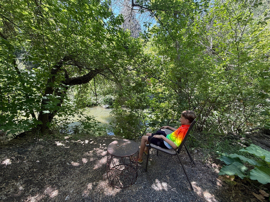 Alaskan Inn and Spa主图