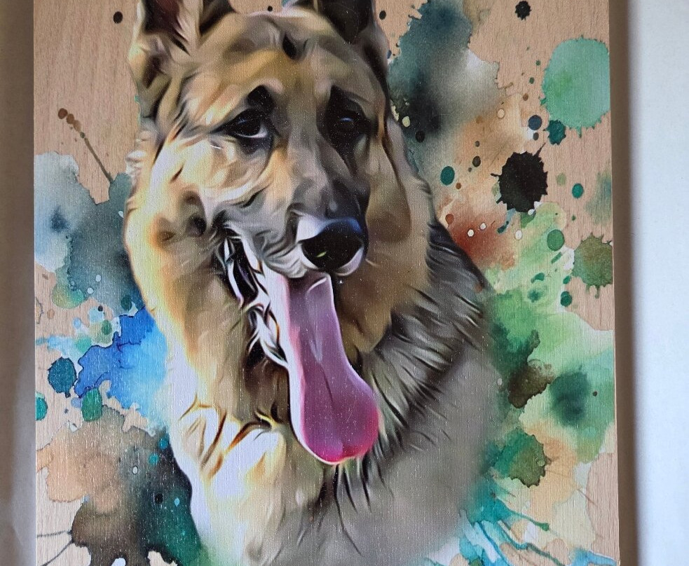 Neldi Art Gallery-帕福斯必去景点