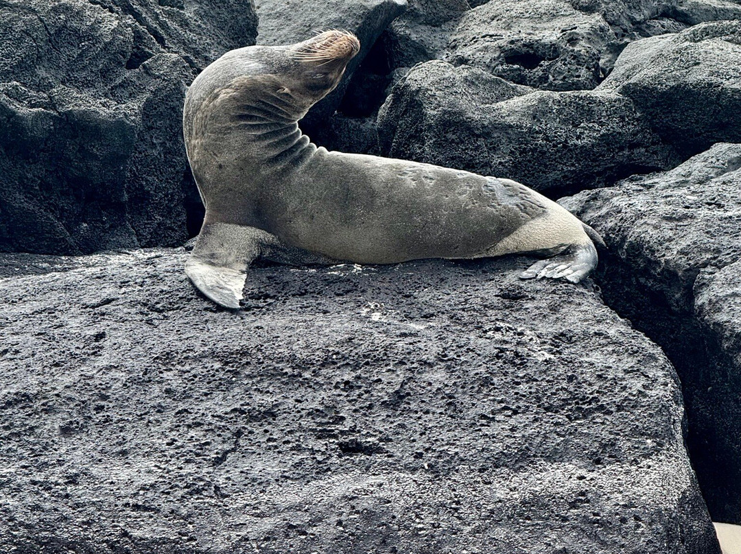 Eco Hotel Katarma主图