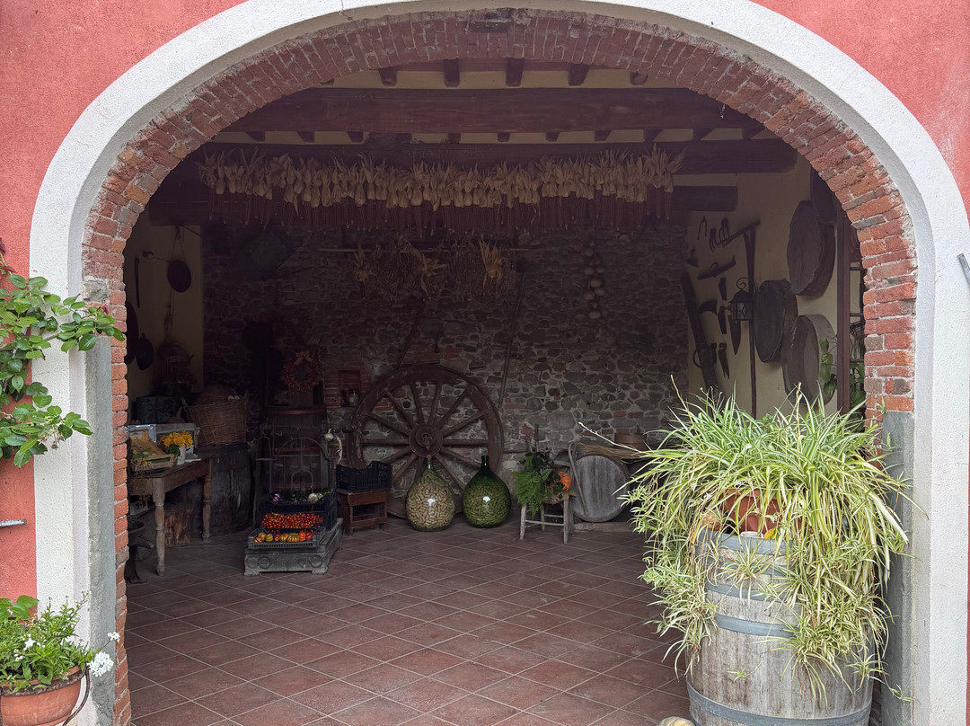 Al Podere di Rosa主图