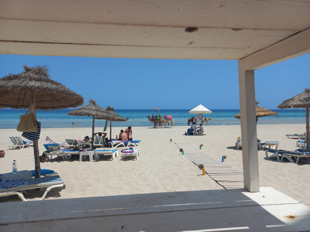 Hotel Al Jazira主图