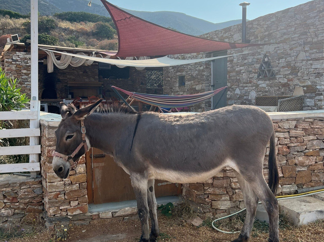 Anthi Farm Sifnos-Apollonia必去景点