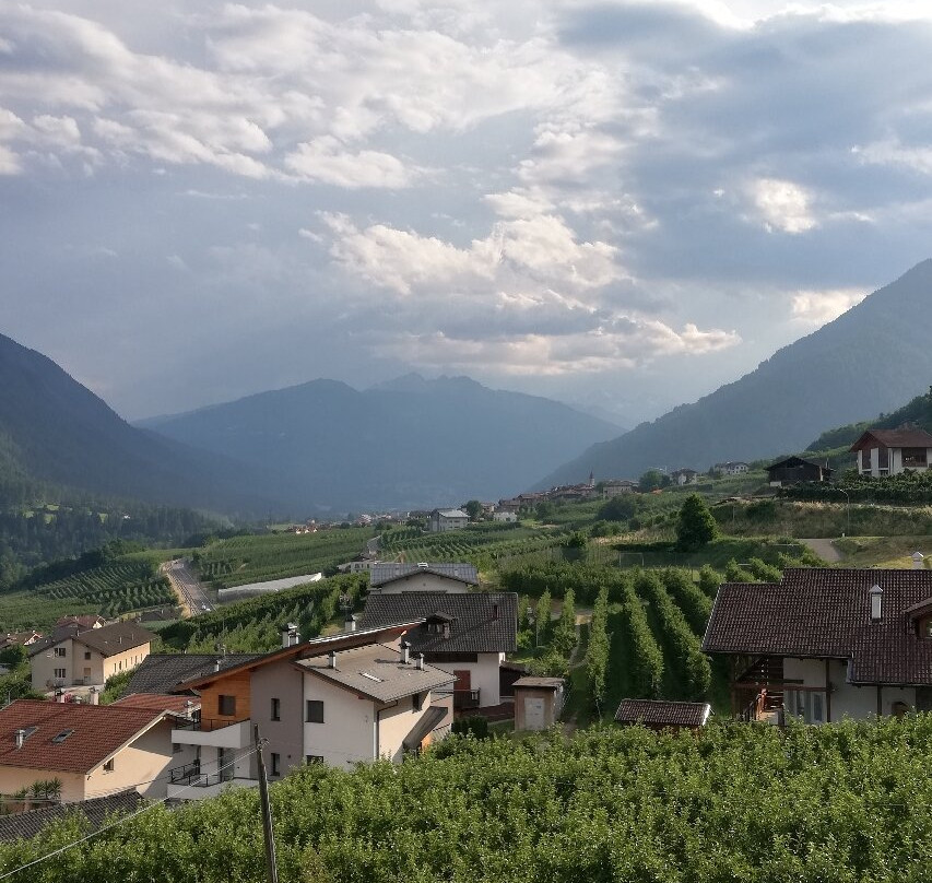 Agriturismo Il Tempo Delle Mele主图