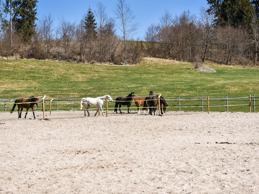 Hotel Gasthof zum Sussen Grund主图