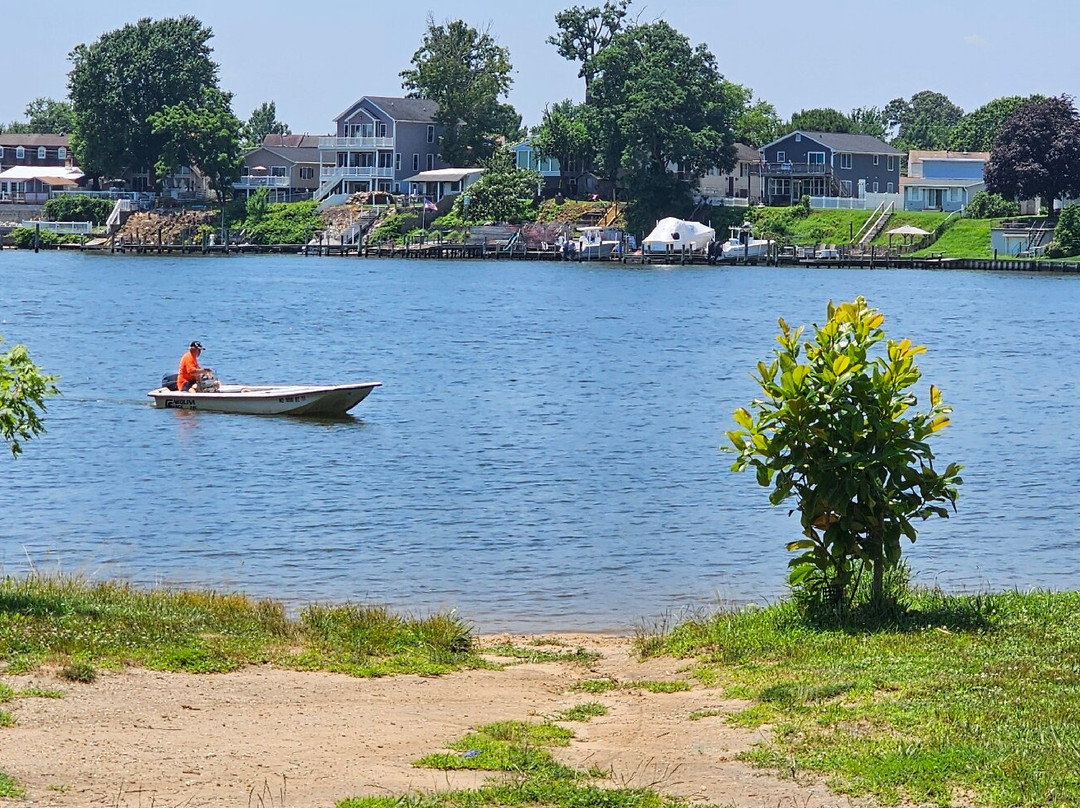 Wilson Point Park-Middle River必去景点