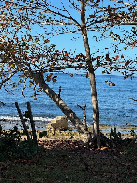 Barefoot Yoga P.r.-吕康必去景点