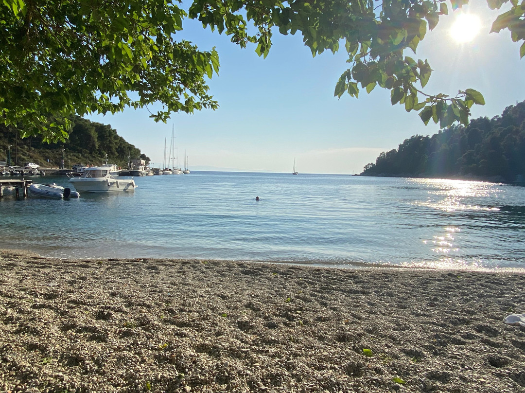 Althea Accommodation主图