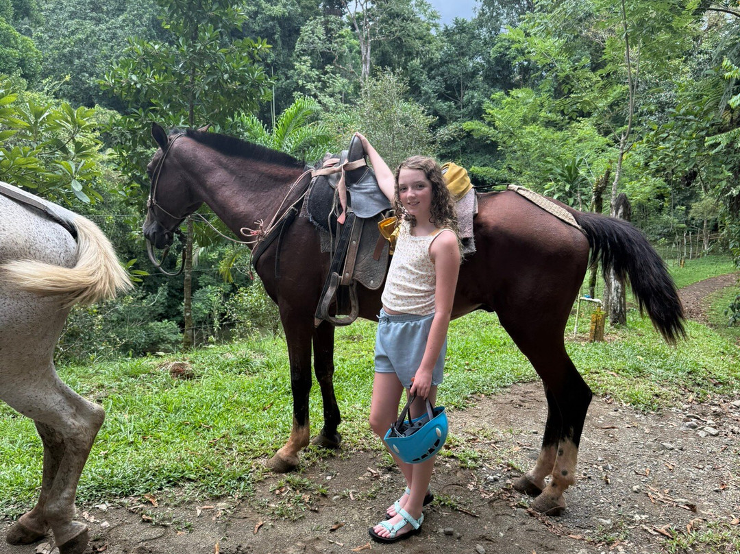 Brisas del Nara-哥斯达黎加安东尼奥国家公园必去景点