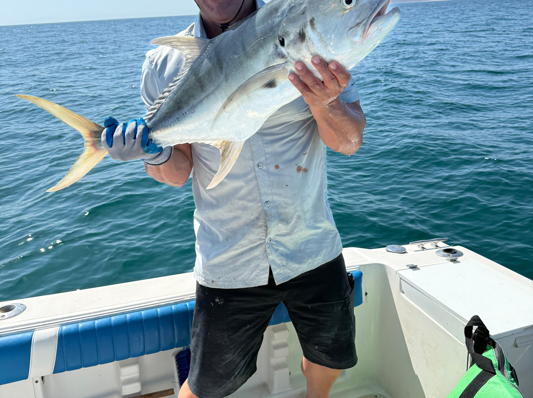 Baja Pirates Fishing Fleet-拉巴斯必去景点