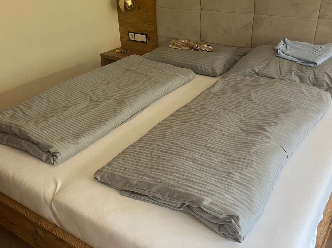 Berghotel Madlener主图