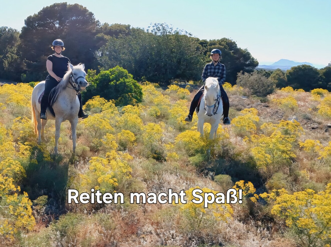 Riding stable El Refugio-瓜尔达马尔德尔塞古拉必去景点