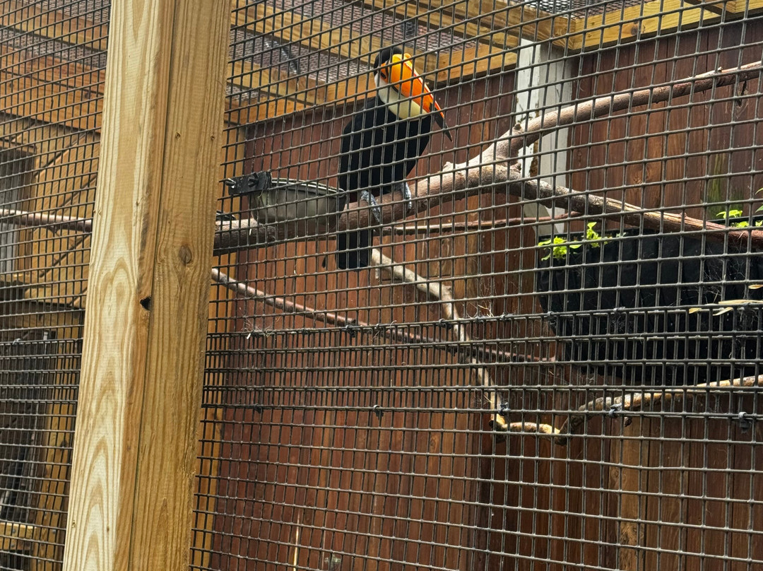 Arcade City Gatlinburg-盖林柏格必去景点