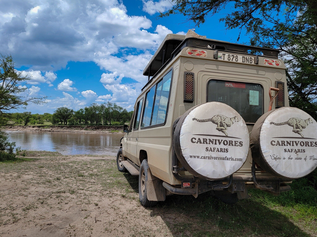 Carnivores Safaris Limited-阿鲁沙必去景点